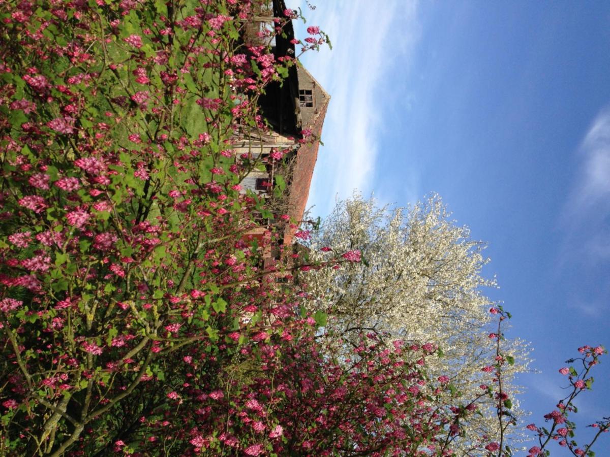 Vlezenbeek B&B Bekersveld מראה חיצוני תמונה